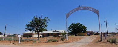 1305 SE 5001, Andrews, TX 79714 - photo 3