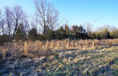 Loads of wildlife if your into hunting or watching