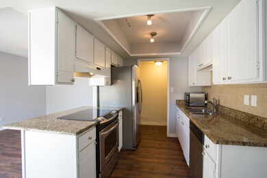 Granite slab counters & Stainless appl