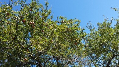 114 Larch Row, Wenham, MA 01984 - photo 5