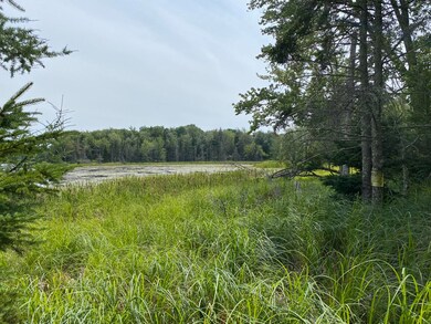 IMG_3333