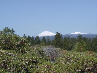 23 Shoshone Rd, Bend, OR 97702 - photo 4