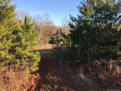 Lot 23 Vance Farm Dr unit 23, Sharpesburg, NC 28625 - photo 2