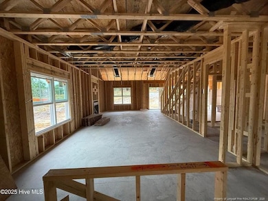 1021 Ivory Ln, West End, NC 27376 - photo 5