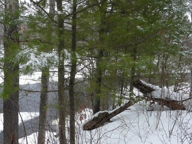 30406 Minerva Rd, Danbury, WI 54830 - photo 2