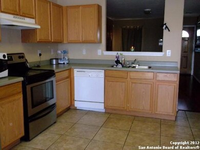 3914 Pavo Viejo, San Antonio, TX 78223 - photo 5