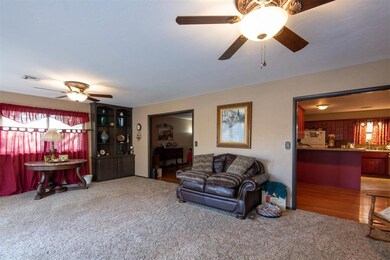 Carpeted living room featuring ceiling fan and sin