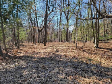 0000 Fremont Ave, Byron, WI 54660 - photo 7