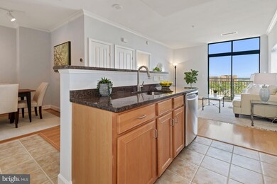 1201 N Garfield St unit PH04, Arlington, VA 22201 - photo 6