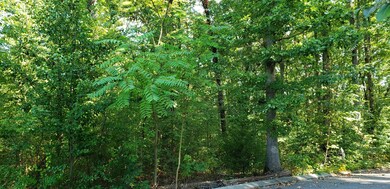 0 Shady Oaks Cove unit RTC2720334, Dunlap, TN 37327 - photo 4