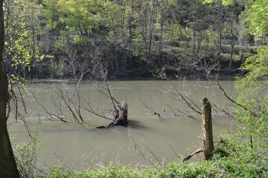River View