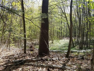 0 Harris Rd, Minot, ME 04258 - photo 2