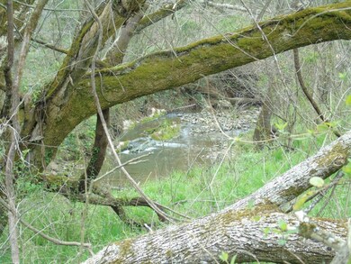 Creek