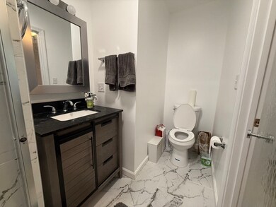 34 Cherokee St unit 1, Roxbury Crossing, MA 02120 - photo 3