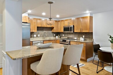 23 E Concord St unit 1, Boston, MA 02118 - photo 4