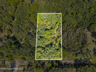 01 Bear Trail, West Canaveral Groves, FL 32926 - photo 6