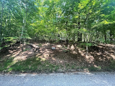 Lot 3279 Haven Ct, Ellijay, GA 30540 - photo 5