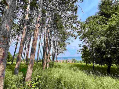 0 Bay Ridge Ln unit A-2 477659, Boyne City, MI 49712 - photo 7