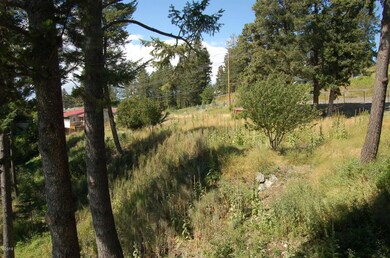 116 Holt Dr, Bigfork, MT 59911 - photo 7