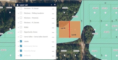 336 Gardenia Ave, Georgetown Cove, FL 32139 - photo 5