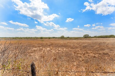 2853 Farm To Market Road 1333, Poteet, TX 78065 - photo 3
