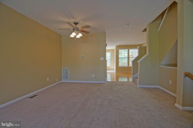21496 Foche Terrace, Broadlands, VA 20148 - photo 6