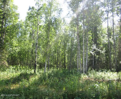 Winkler Summer View 2