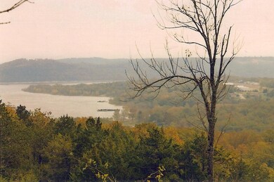 Lot Blue View Ln, Ruth B Rural Township, MO 65686 - photo 3