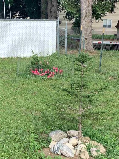 Fresh Landscaping