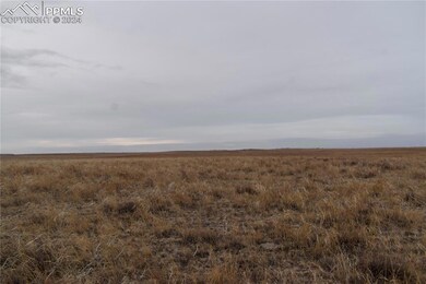 View of local wilderness with a rural view