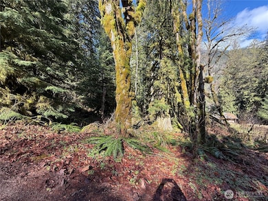 0 High Ridge Dr unit NWM2348116, Marblemount, WA 98267 - photo 4