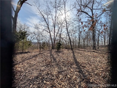 Another view of the acres