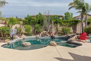 Resort Style Rear Yard
