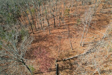 000 Hwy Pp, Collins, MO 64738 - photo 7