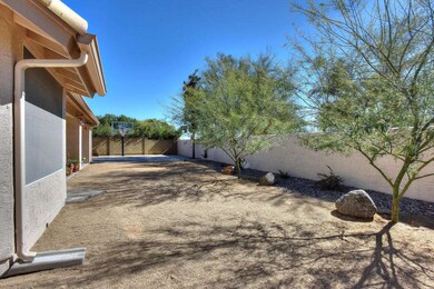Backyard 1