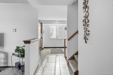 3410 W 106th Place, Westminster, CO 80031 - photo 4