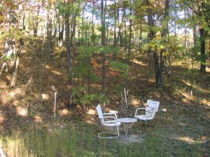 CHAIRS IN YARD
