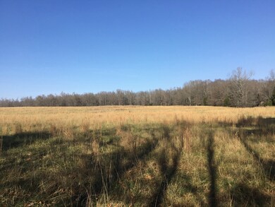 0 Fredonia Rd unit RTC2527162, Manchester, TN 37355 - photo 3