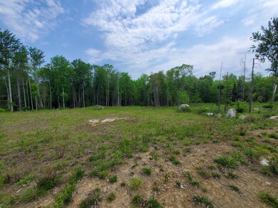 Lot 6-3 S Harmony Rd, Athens, ME 04912 - photo 4
