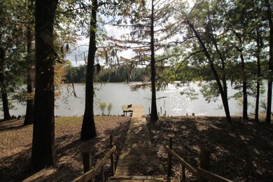 1125 McNatt Falls Rd, Uvalda, GA 30473 - photo 6