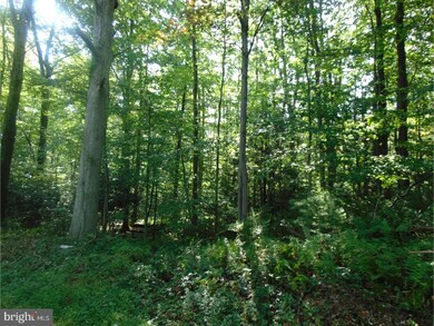 0 Indian Run Rd unit 1001243297, New Ringgold, PA 17960 - photo 5