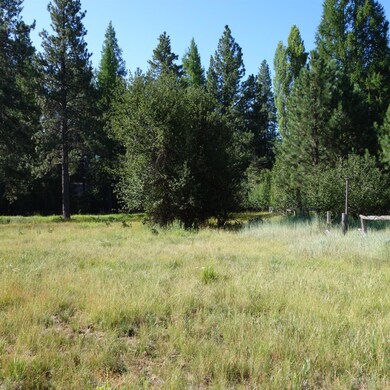 Tamarack5