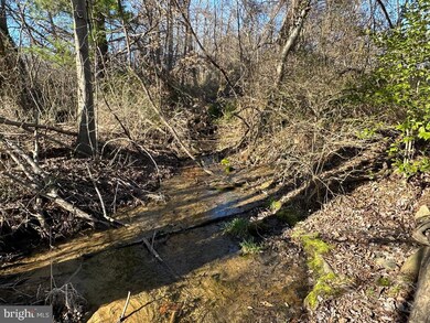 10 Michelle Way, Round Hill, VA 20141 - photo 6