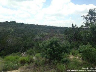 9866 Cash Mountain Rd, Helotes, TX 78023 - photo 4