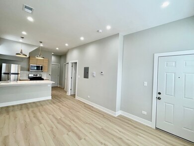 2238 W 24th St unit 2F, Chicago, IL 60608 - photo 6