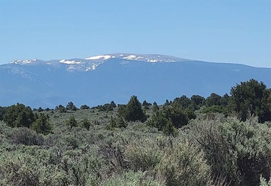 Calvary Trl Garci unit a Colorado 81152, Garcia, CO 81152 - photo 5