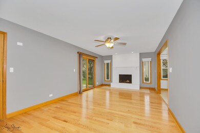 720 Citation Dr unit 1, Naperville, IL 60540 - photo 6