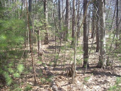 TBD Wells Highland, Wells, ME 04090 - photo 2