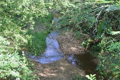 INTERNAL STREAM COURSE FEEDS INTO PINEY BROOK CREE