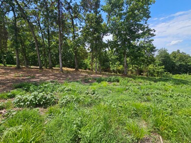 Creekwood-T-4 B pic 2
